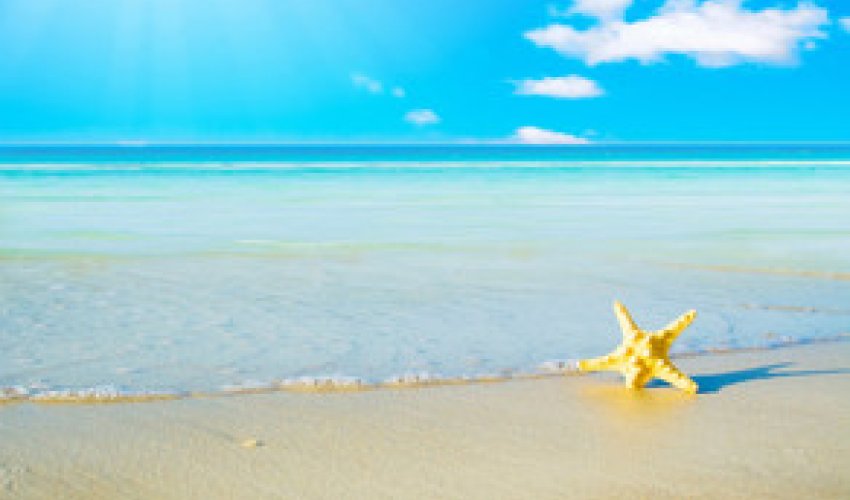 Baku weather forecast for August 19