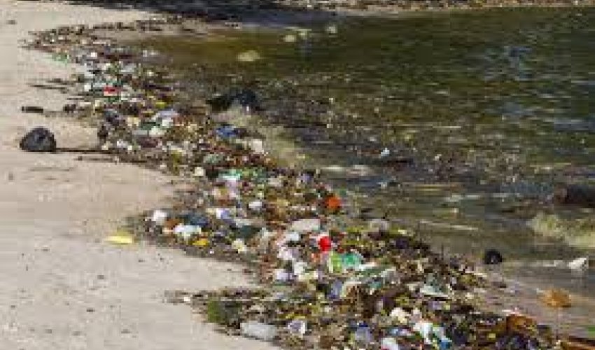 Two Azeri districts concerned over water pollution