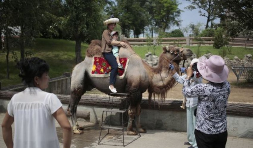 North Korea's national zoo: Donkeys, dinosaurs and dogs