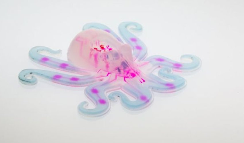 Pneumatic octopus is a first for soft robotics