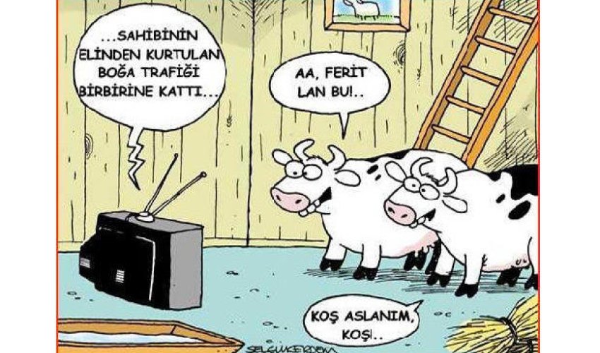 Ən maraqlı Qurban bayramı karikaturaları - FOTOLAR Ən maraqlı Qurban bayramı karikaturaları - FOTOLAR