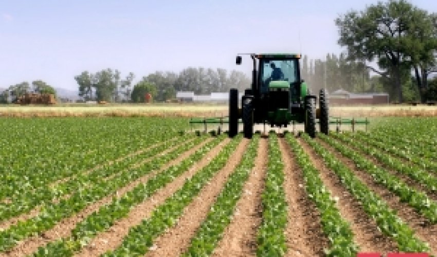 Subsidiyaların veriləcəyi məhsulların siyahısı hazırlanır