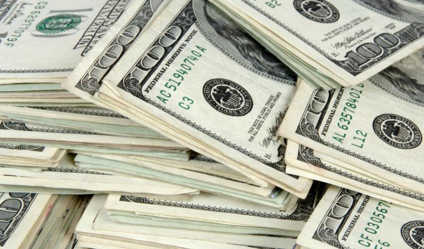 Azərbaycana valyuta qazandıracaq məhsullar