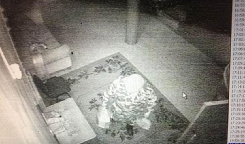 Инцидент с древней мумией - ВИДЕО