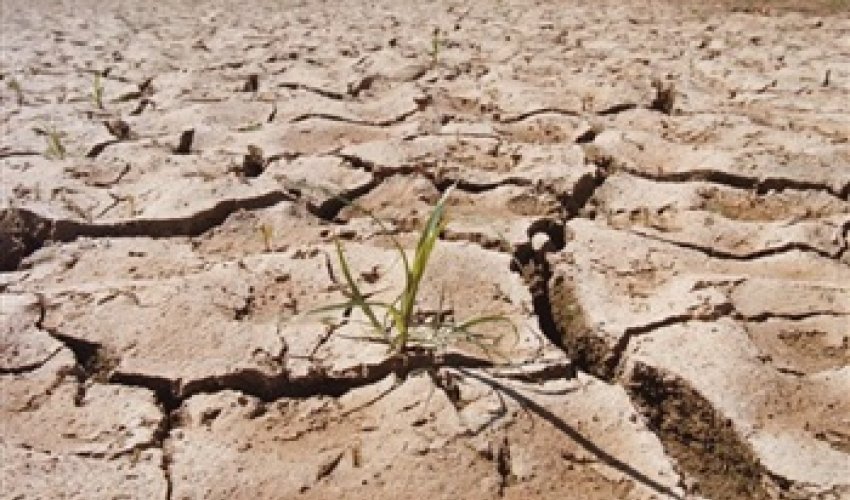 Catastrophe looms as 850,000 go hungry, says UN - Madagascar drought