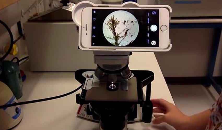 Ученые скрестили iPhone и микроскоп - ВИДЕО