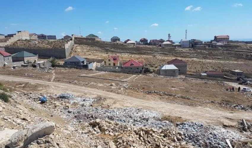 Badamdarı sökürlər – FOTOLAR Badamdarı sökürlər – FOTOLAR