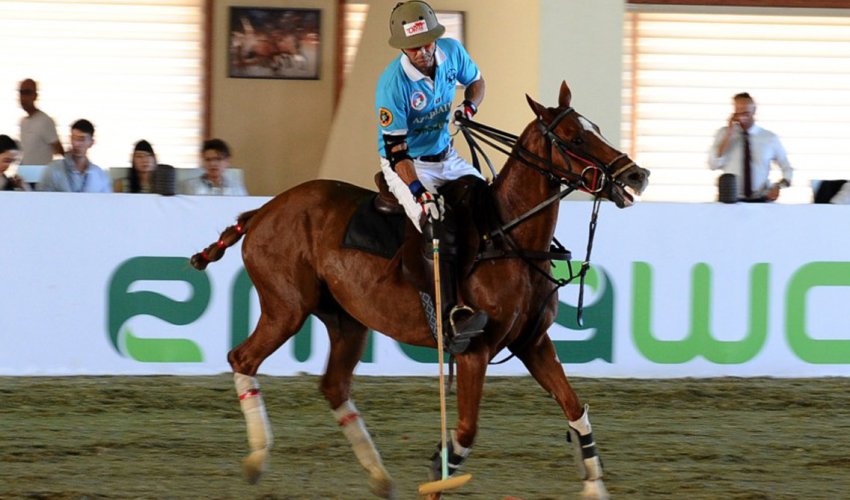 European polo championship to be held in Azerbaijan in 2020