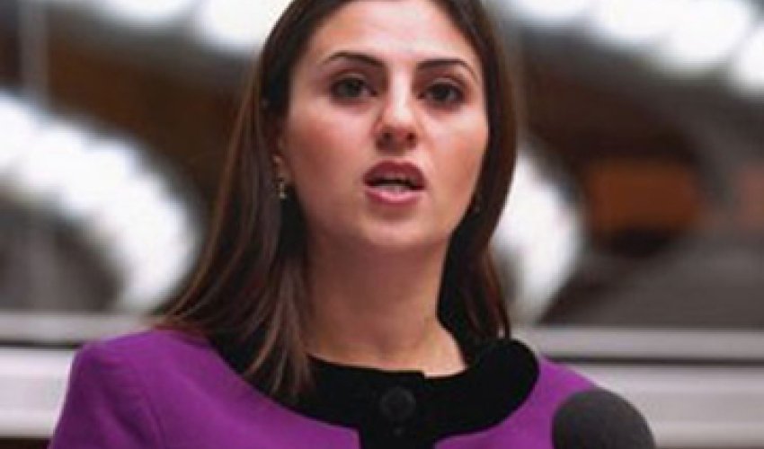 Azerbaijan talks in PACE about Armenian atrocities