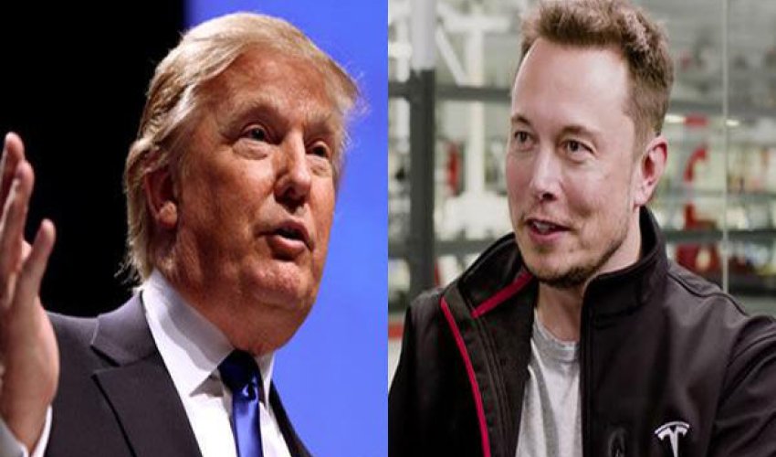 İlon Mask Trampa qarşı