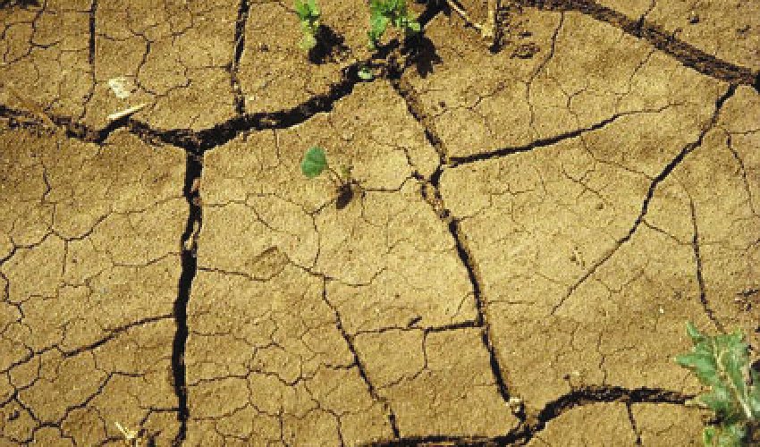 Keniyada milli fəlakət elan olunub