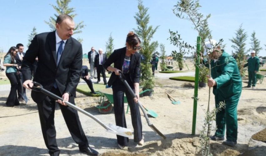 Prezident ağacəkmə aksiyasında iştirak edib