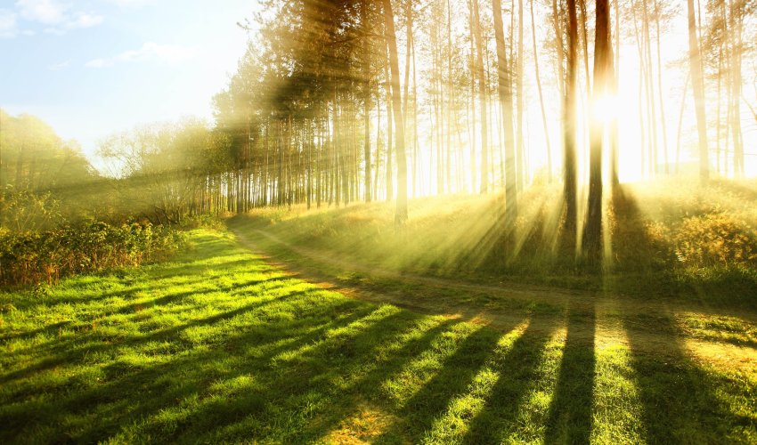 Sabahdan Azərbaycanda havanın temperaturu artacaq - XƏBƏRDARLIQ Sabahdan Azərbaycanda havanın temperaturu artacaq - XƏBƏRDARLIQ