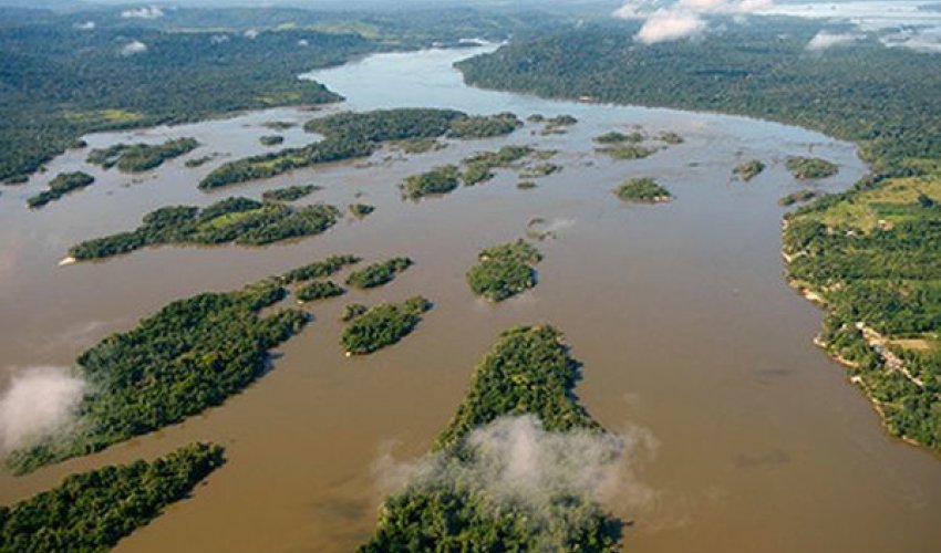 Braziliya məhkəməsindən Amazonka ilə bağlı qadağa