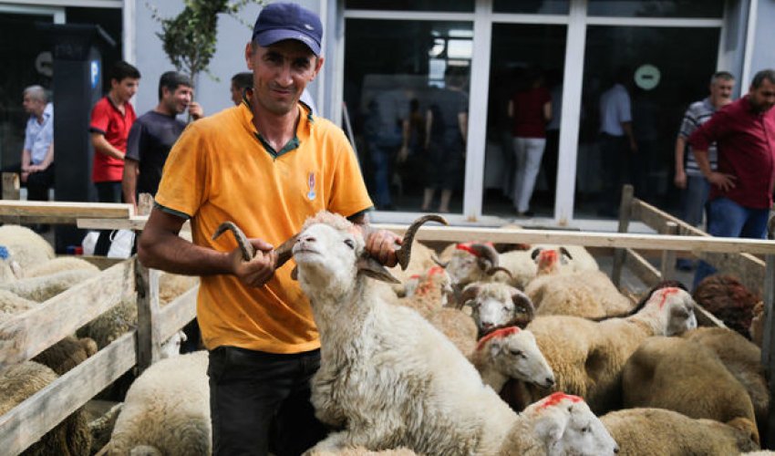 Bakıda Qurban bayramı keçirilir – FOTOREPORTAJ Bakıda Qurban bayramı keçirilir – FOTOREPORTAJ