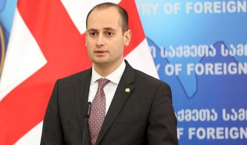 Gürcüstanın xarici işlər naziri Azərbaycana gəli Gürcüstanın xarici işlər naziri Azərbaycana gəli