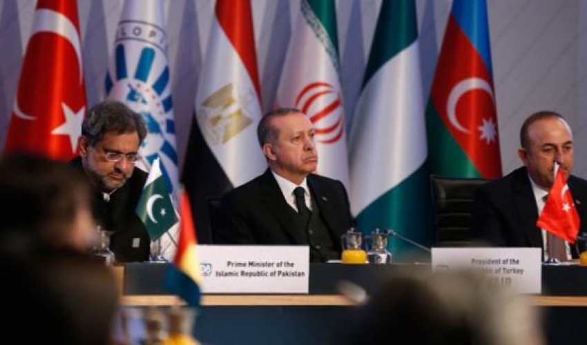 İlham Əliyevin qatıldığı D-8 başladı