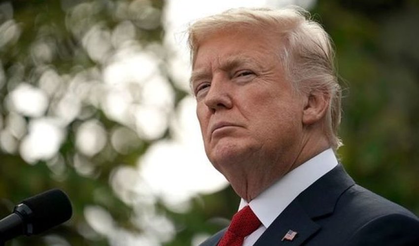 Tramp: Mən çox ağıllı insanam