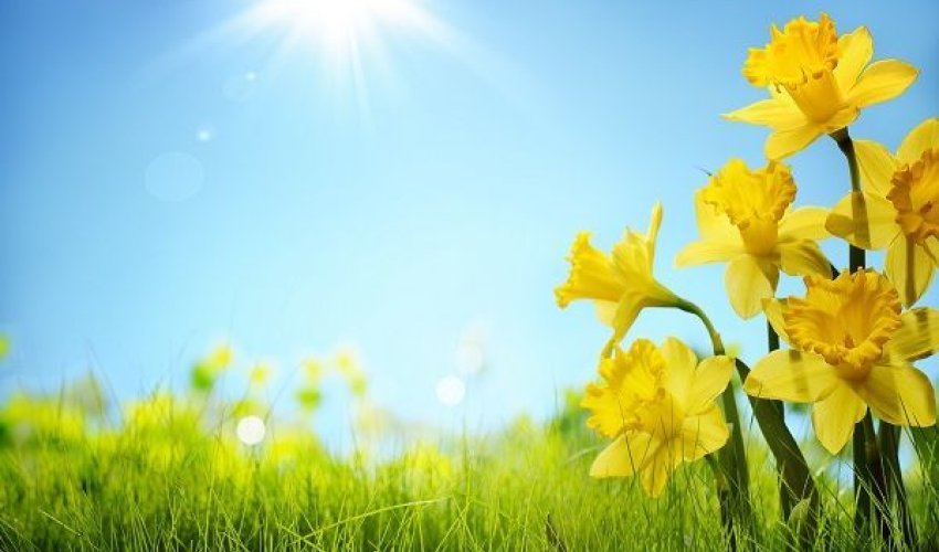 Bu gün yay havası müşahidə ediləcək