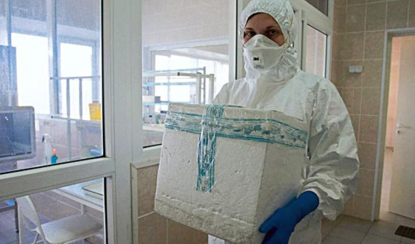Baş epidemioloq: Azərbaycanda qrip epidemioloji həddi keçməyib Baş epidemioloq: Azərbaycanda qrip epidemioloji həddi keçməyib