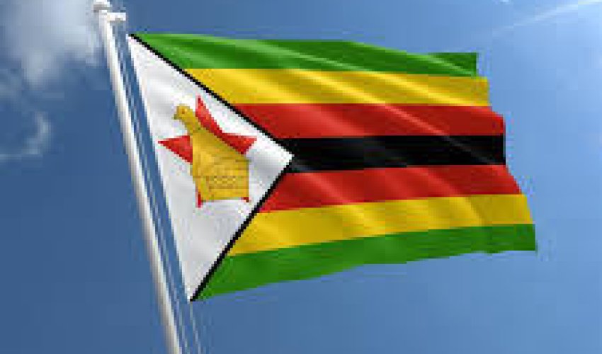 Zimbabvenin yeni prezidenti kim oldu?