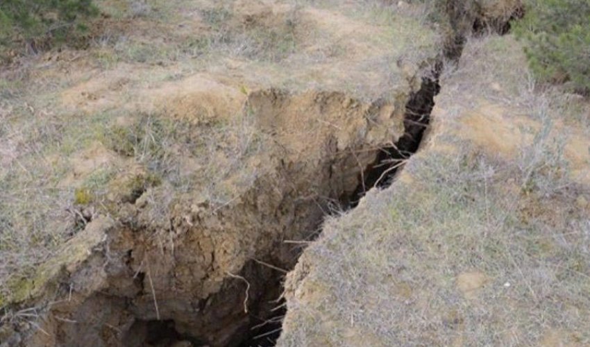 Yapon mütəxəssislər Bayılla bağlı təkliflər verəcək Yapon mütəxəssislər Bayılla bağlı təkliflər verəcək
