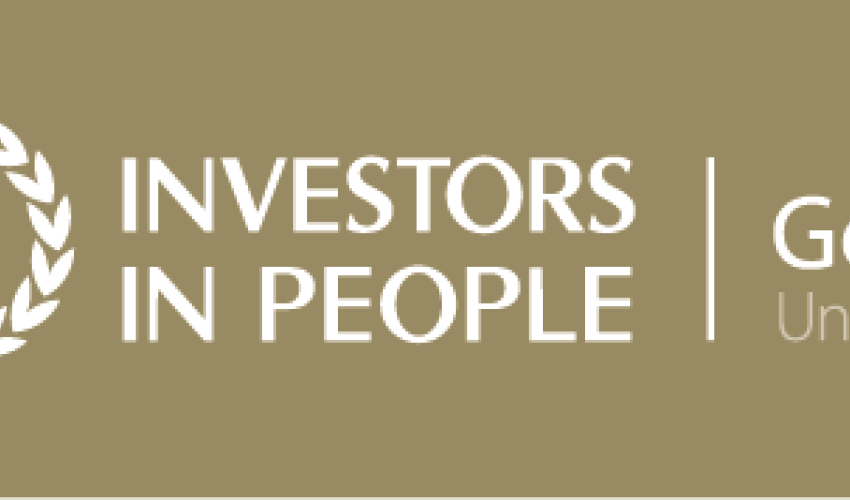  İnsan qaynaqlarına edilən yatırım - gələcəyə qoyulan sərmayədir