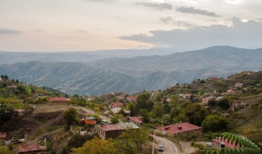 Laçının ən son FOTOLARI Laçının ən son FOTOLARI