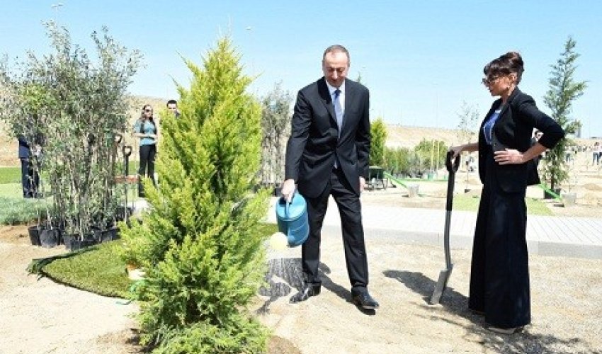 İlham Əliyev və ailəsi ağac əkdi