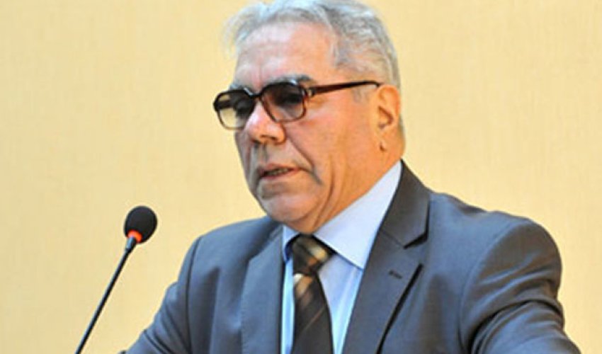 Ziyad Səmədzadə TANAP-ı dəyərləndirdi