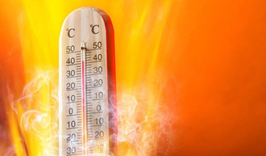 45 dərəcə? Avqustda Hindistan istilərini gözləyin - EKOLOQ