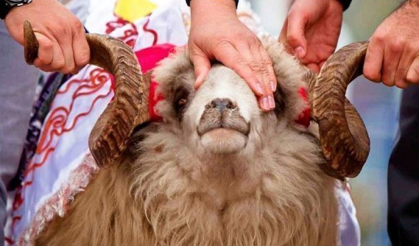 Azərbaycanda Qurban bayramı qeyd olunur Azərbaycanda Qurban bayramı qeyd olunur