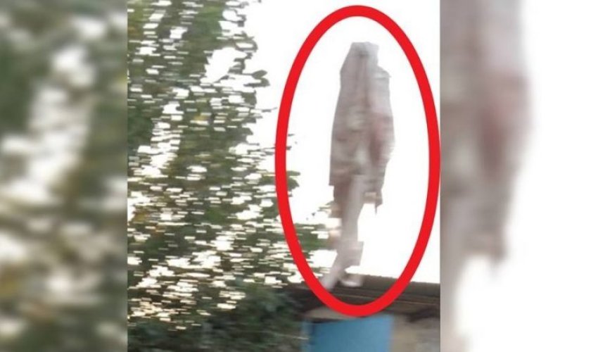 Cəlilabad sakinlərini qorxuya salan sirli varlıq – Məsələnin gizli tərəfləri… (Video)