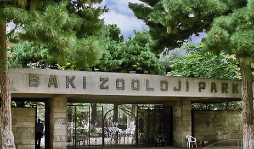 Bu tarixdən Bakı Zooparkı bağlanır Bu tarixdən Bakı Zooparkı bağlanır