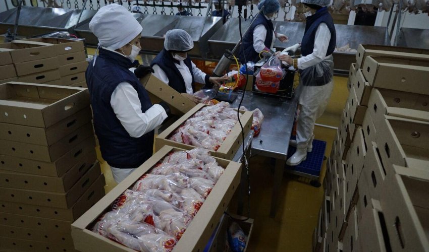 Toyuq əti alan zaman nəyə diqqət yetirməliyik?