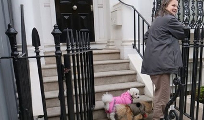 Zamirənin milyonluq evi, itinə baxan qadının açıqlamaları... - FOTOLAR Zamirənin milyonluq evi, itinə baxan qadının açıqlamaları... - FOTOLAR