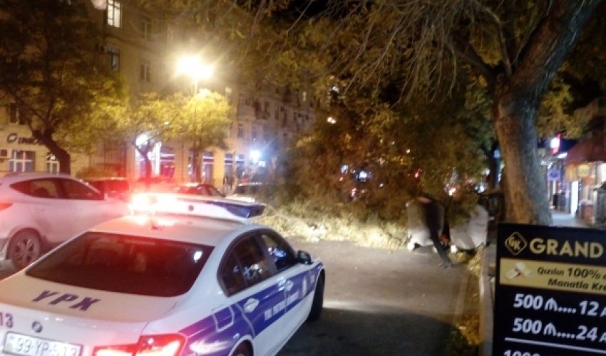 В Баку сильный ветер повалил деревья