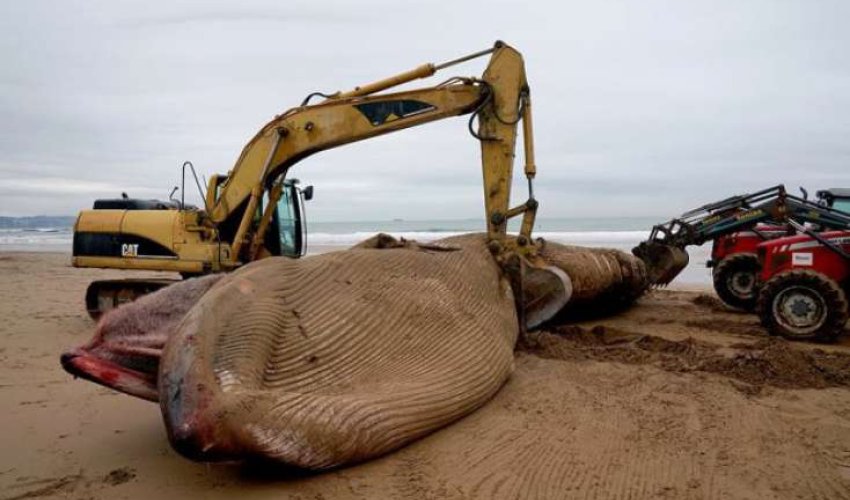 İNANILMAZ: Sosial media bu görüntülərdən danışır - FOTOLAR