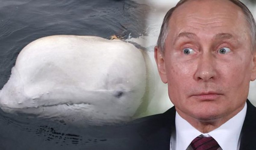 Putin dünyanı ŞOKA SALDI - Son anda gördülər - FOTOLAR