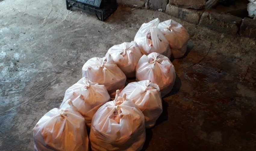 DİQQƏTLİ OLUN! Toyuqları bu şəraitdə kəsib satırlar - FOTOLAR