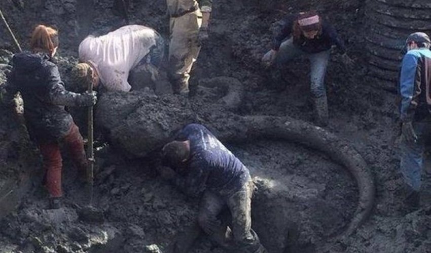 Ər və arvad tarlanı şumlayarkən tapdı - Bu tapıntı ölkədə ŞOK effekti yaratdı - FOTOLAR