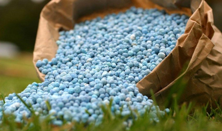 Azerbaijan to expand organic fertilizer production