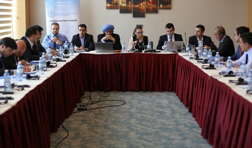 FAO holds regional planning workshop on development of national agricultural export strategies in Azerbaijan, Tajikistan, and Uzbekistan (PHOTO)