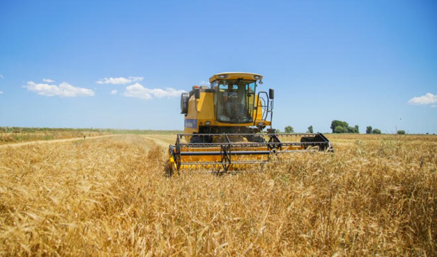 Grain harvest completed on about 800,000 ha of Azerbaijani fields as of July 3