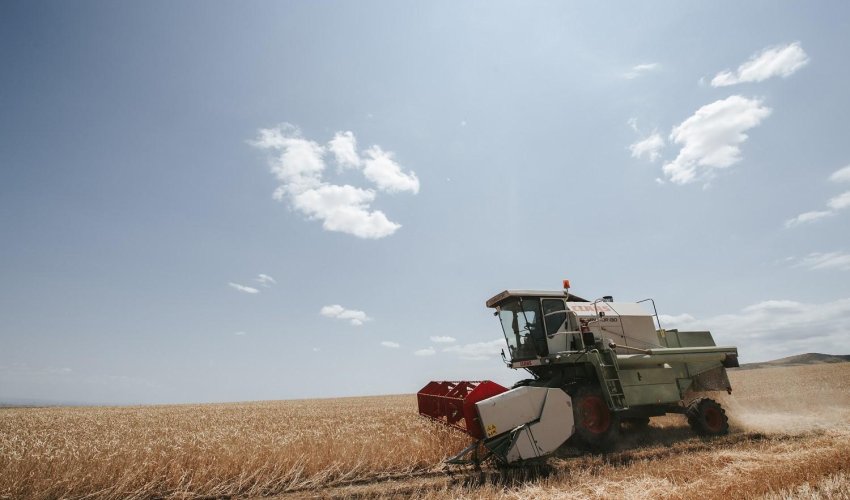 Grain harvesting continues in Azerbaijan