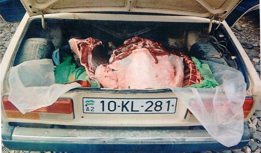 Qubada istifadəyə yararsız 151 kq ət aşkar edilib