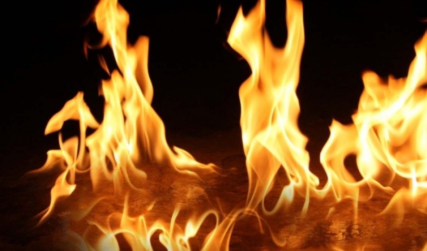 В Армении пожар у горы Ара В Армении пожар у горы Ара