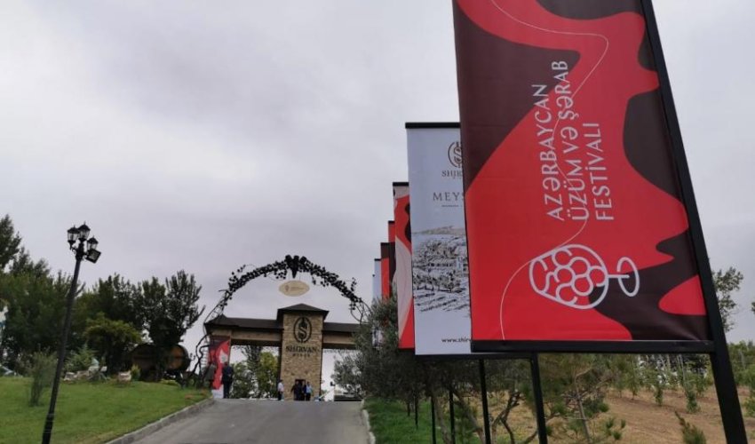 First-ever Grape and Wine Festival underway in Azerbaijan (PHOTO)