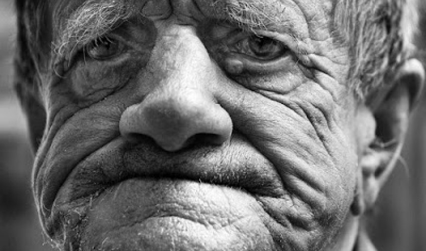 Alimlər insan ömrünü uzatmaq üçün bu heyvandan istifadə etmək istəyirlər - FOTO Alimlər insan ömrünü uzatmaq üçün bu heyvandan istifadə etmək istəyirlər - FOTO