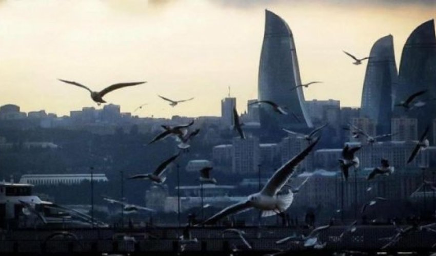 Синоптики о погоде на завтра: пасмурно, туман 